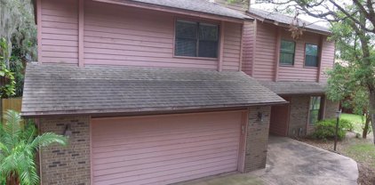 1232 Rainbrook Circle, Valrico