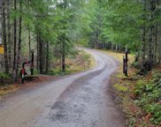 Sasquatch Lane Unit #LOT#1, Packwood image