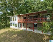 7139 Skyline Drive, Pell City image