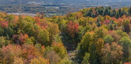 White Birch Road, Morristown
