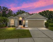 28942 Long Meadow Loop, Zephyrhills image