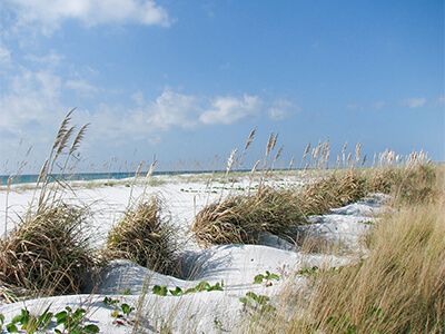 Navarre Real Estate
