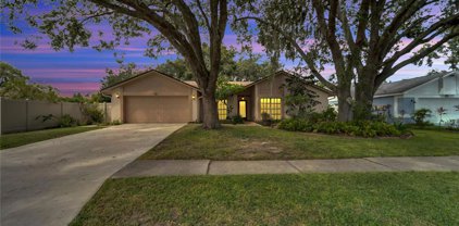 10139 Tarragon Drive, Riverview
