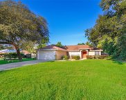 36115 Michigan Drive, Eustis image