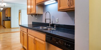 1400 Dakota Avenue S Unit #308, Saint Louis Park