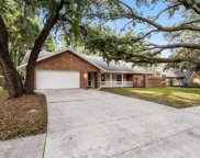 3105 Rolling Acres Place, Valrico image