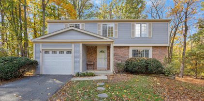 10724 Freds Oak Ct, Burke