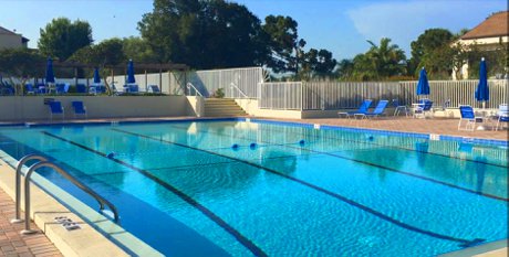 Bird Bay has a world class pool