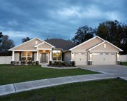 256 Sable Knoll Court, Spring Hill image