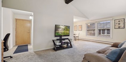 4612 Cedar Lake Road S Unit #6, Saint Louis Park