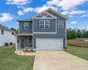 657 Blackberry Glenn, Springville image