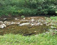 1020 Deerfoot Dr, Pegram image