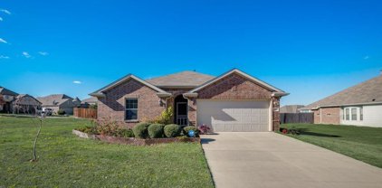 3101 Persimmons  Way, Forney