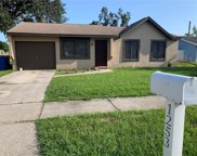 1253 Piney Branch Circle, Valrico image