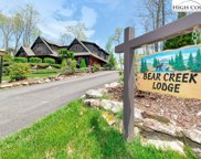 211 Cougar Run, Linville image