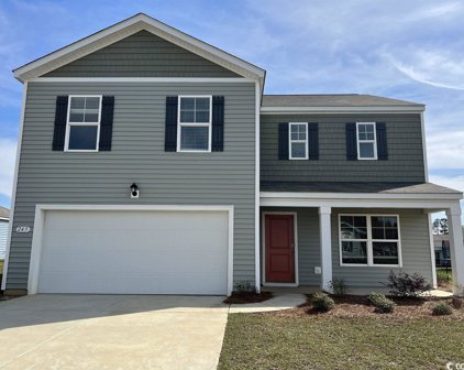 217 Harvest Ridge Way, Conway