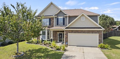 217 Raven Falls Lane, Simpsonville