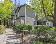 490 Canyon Oaks Dr Unit F, Oakland image