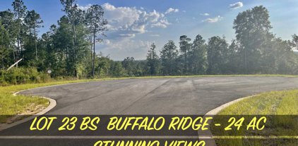 Lot 23 BS Buffalo Ridge Rd, Pace