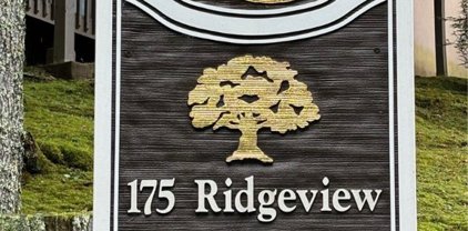 175 Ridgeview Road Unit 1-3, Sugar Mountain