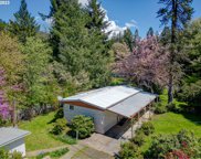 42891 MCKENZIE HWY, Leaburg image