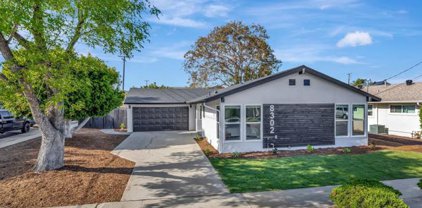 8302 Bashan Lake Avenue, San Carlos