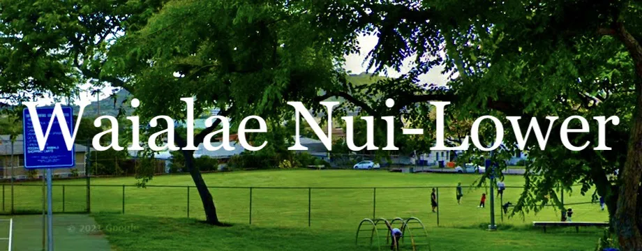 Waialae Nui Lower Market Report