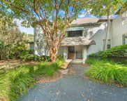 5535 Green Dolphin Way, Kiawah Island image