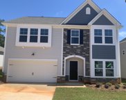 338 Griffon Drive, Chapin image