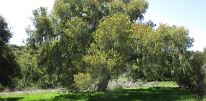 0 Monterra RD, Monterey