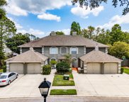 14095 Trouville Drive, Tampa image