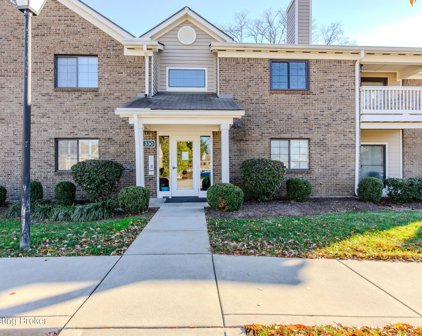 330 Ethridge Ave Unit 206, Louisville