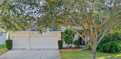 13539 Paloma Drive, Orlando