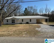 1618 Pleasant Valley Drive, Pell City image