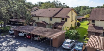 608 Fairmont Avenue Unit D, Safety Harbor