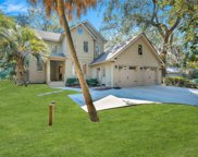 28 Wood Duck Court, Hilton Head Island image