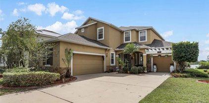 13912 Caywood Pond Drive, Windermere