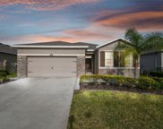 1092 Pipestone Place, Wesley Chapel image