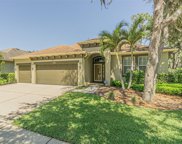 15742 Starling Water Drive, Lithia image