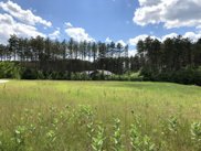 Lot 38 Red Pine Rd, Delton image