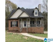 909 Shelby Forest Way, Chelsea image