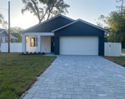 919 Armitage Avenue, Apopka image