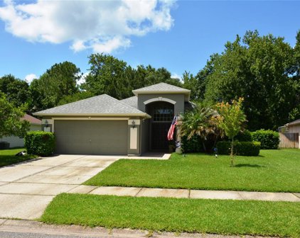 3121 Town And Country Road, Oviedo