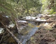 4654 Bear Paw, Priest River image