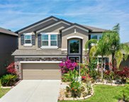 11420 Alachua Creek Lane, Riverview image