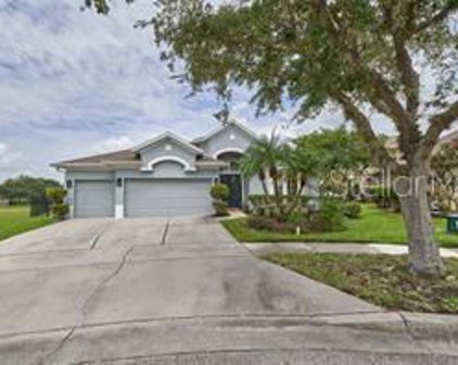 8513 Corinth Pointe Court, Orlando