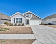 608 Ginger Lily Way, Little River image
