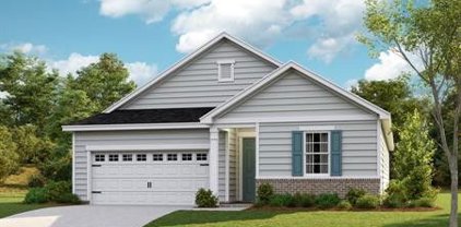 1819 Allwood Avenue    Arlington, Murfreesboro