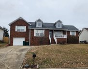 2738 Mollys Ct, Spring Hill image