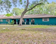 1671 Loralyn Drive, Kissimmee image